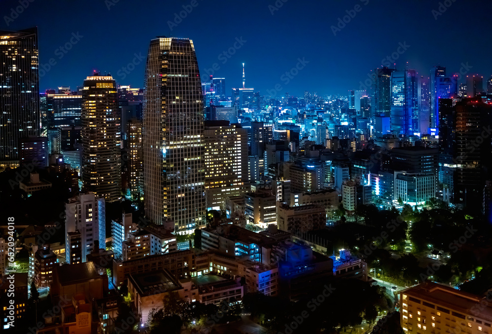 Skyscrapers and highways through Minato, Tokyo, Japan