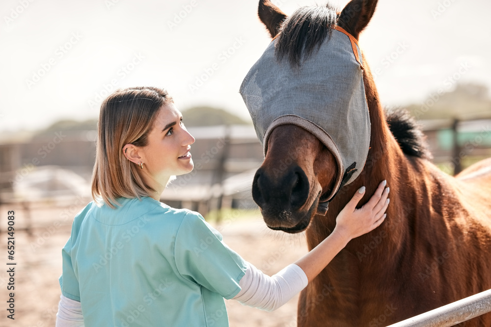 Vet, doctor and woman with horse on ranch for medical examination, research and health check. Healthcare, animal care and happy person on farm for inspection, wellness and veterinary treatment