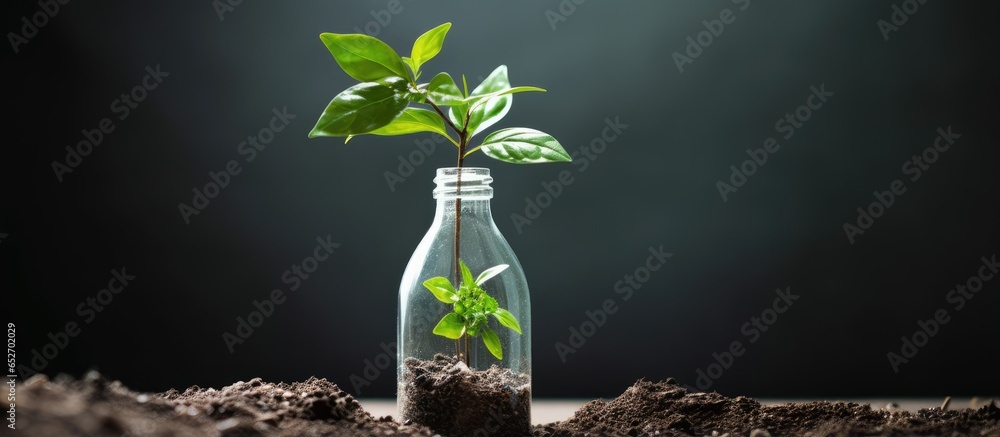 A picture of a repurposed bottle featuring plants