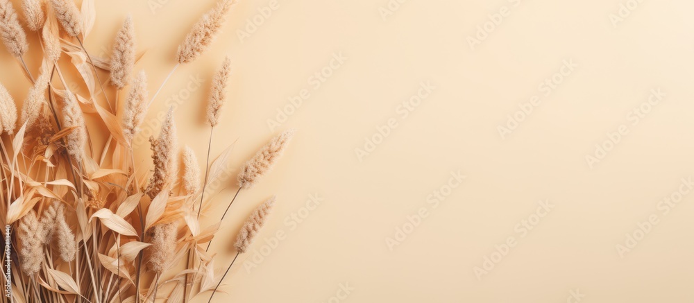 Neutral pastel beige background with a bouquet of reed foliage branches Flat lay top view floral arrangement