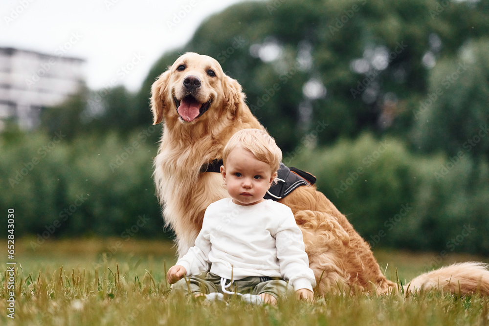 Sitting on the ground. Little boy with golden retriever dog on the field