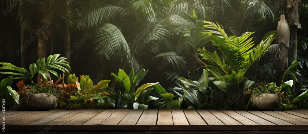 wooden terrace in tropical garden style with aged plank backdrop