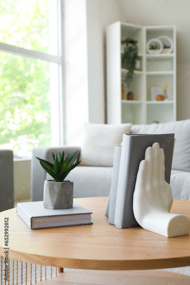 Stylish holder for books with houseplant on coffee table in living room