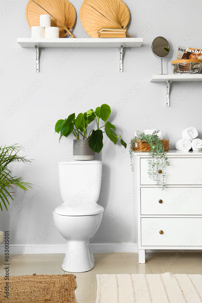 Interior of light restroom with ceramic toilet bowl and houseplants