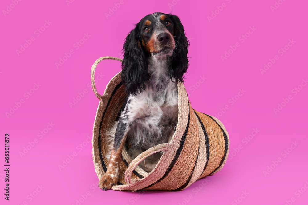 Cute cocker spaniel with wicker basket sitting on purple background