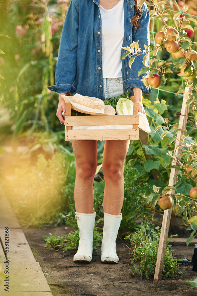 Particle view. Holding wooden box with cabagge. Beautiful young woman is gardening