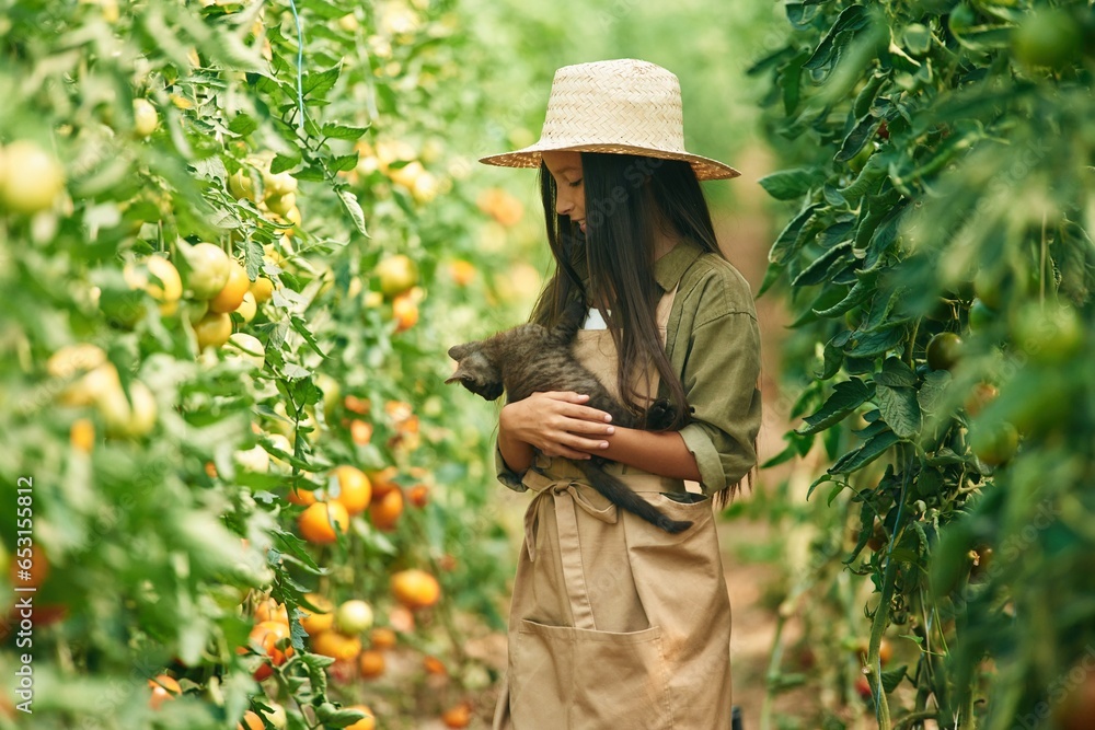 Cute kitten in hands. Little girl is in the garden with tomatoes