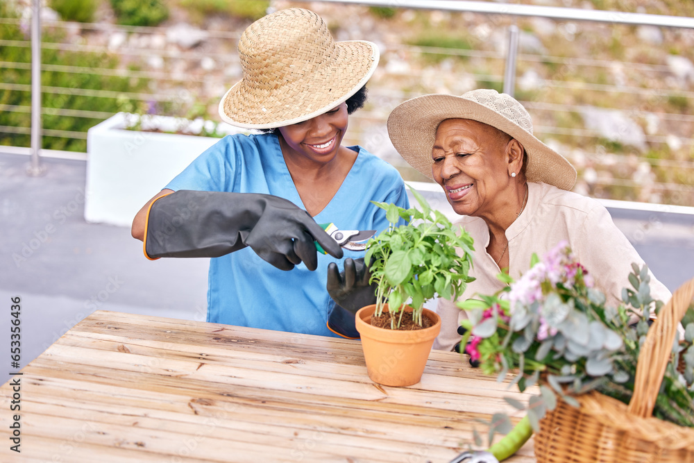 Senior woman, gardening and nurse help in home patio with support, care and plant. Healthcare, retirement and nursing outdoor with happy elderly female person with a smile from basil herb wellness