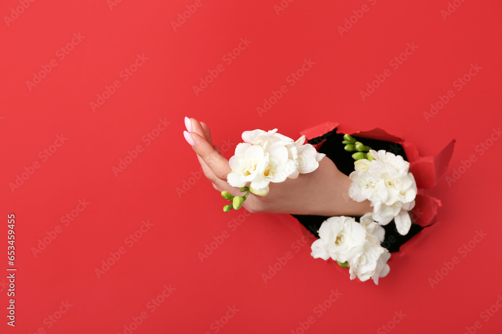 Female hand with white flowers visible through hole in red paper