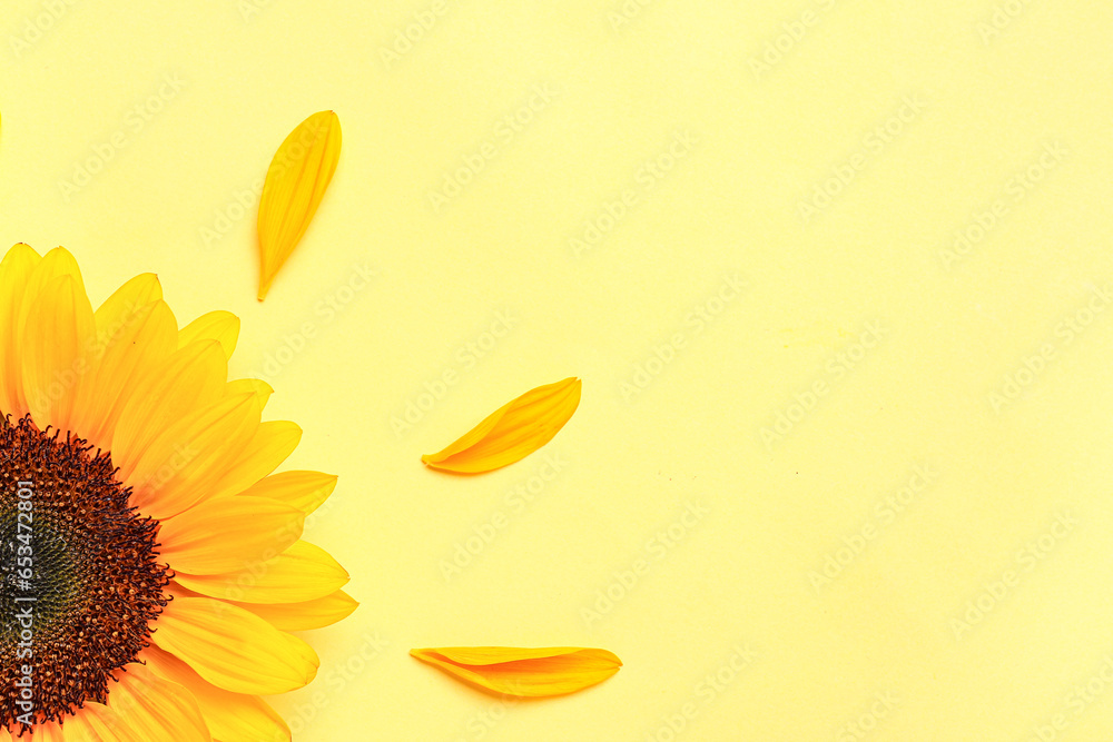 Beautiful sunflower and petals on yellow background