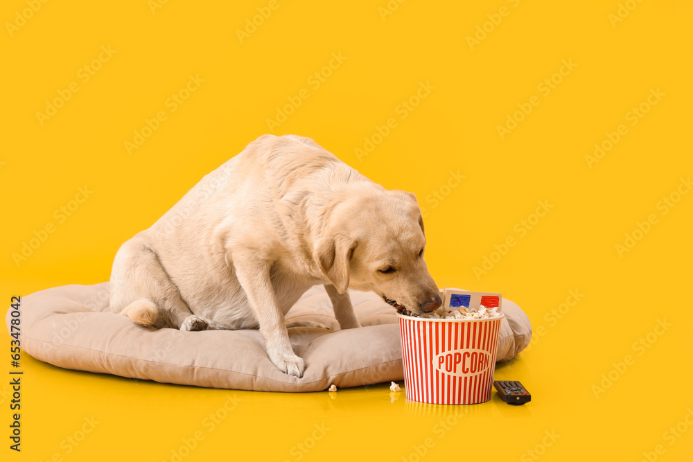 Cute Labrador dog with bucket of popcorn and 3D glasses sitting on pet bed against yellow background