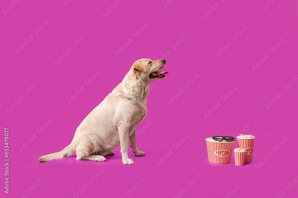 Cute Labrador dog with buckets of popcorn and 3D cinema glasses sitting on purple background