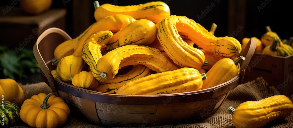 Organic Delicata squash known as sweet potato or Bohemian squash is a delicious seasonal vegetable typically prepared as a side dish by roasting baking saut ing or steaming