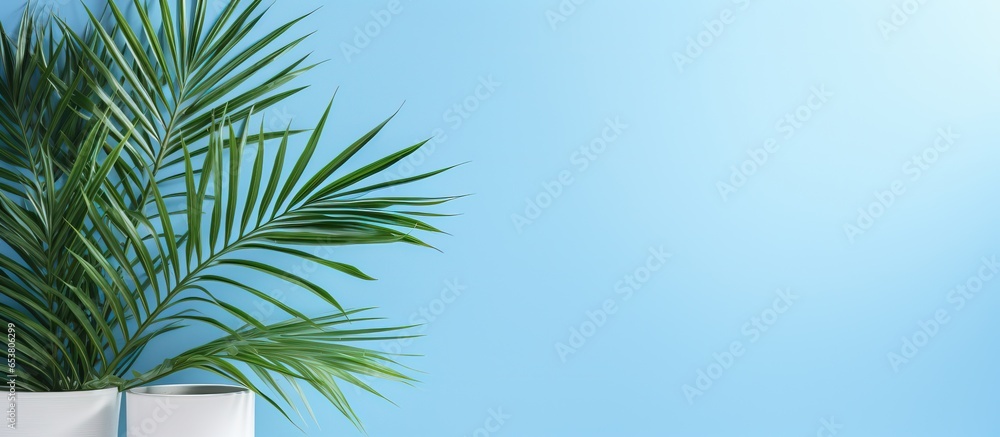 Product background with obscured palm leaf shadow on a light blue wall suitable for spring and summer presentations