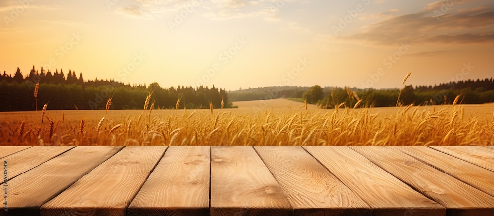 Sunset lit wood board table ready for displaying products in a wheat field