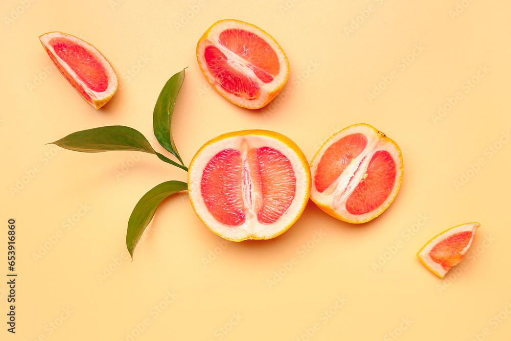 Composition with pieces of ripe grapefruit and plant branch on color background