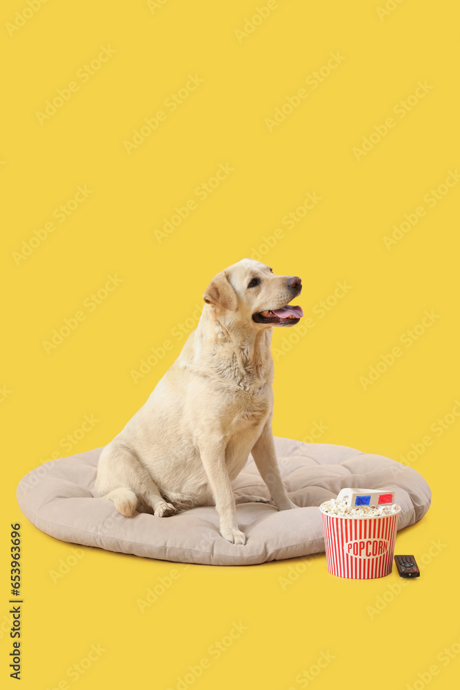 Cute Labrador dog with bucket of popcorn and 3D glasses sitting on pet bed against yellow background