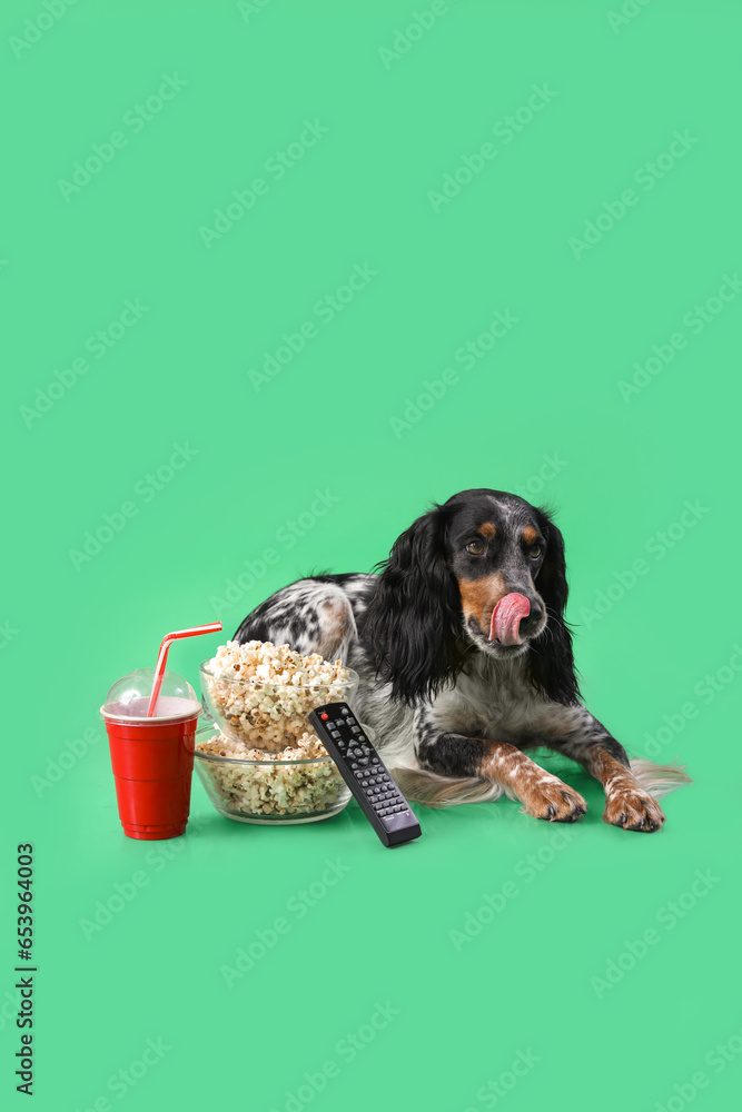 Cute cocker spaniel dog with bowls of popcorn, soda and TV remote lying on green background