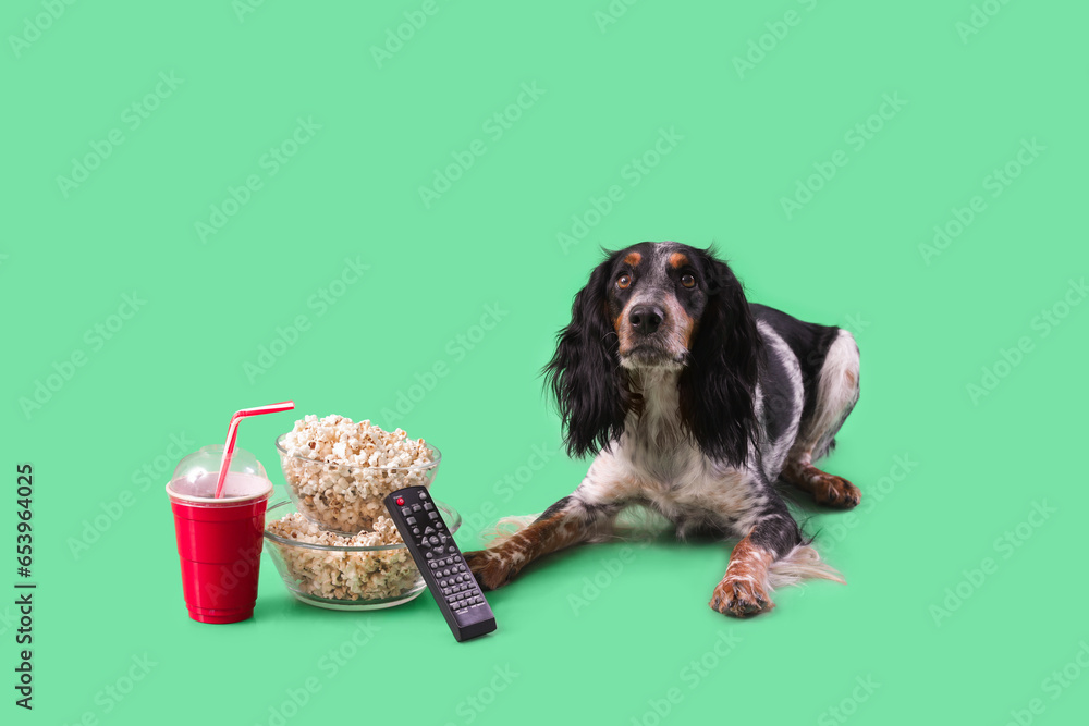 Cute cocker spaniel dog with bowls of popcorn, soda and TV remote lying on green background