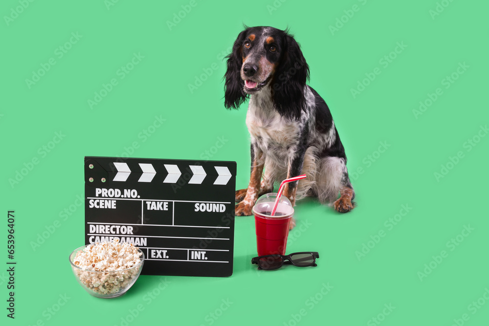 Cute cocker spaniel dog with bowl of popcorn, soda, clapperboard and 3D glasses sitting on green background