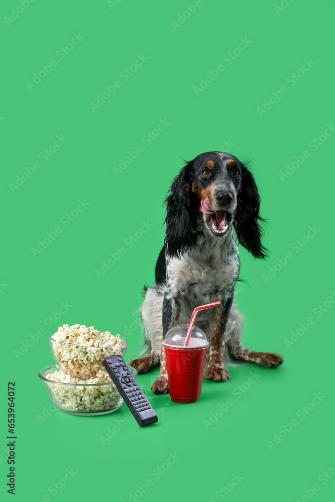 Cute cocker spaniel dog with bowls of popcorn, soda and TV remote sitting on green background