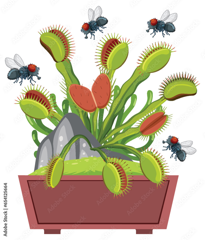 Flies Flying Over Venus Flytrap Plant