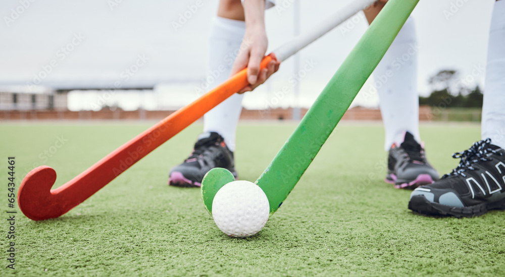 Hockey team, stick or field for exercise fitness workout or running performance, physical or sport challenge. Health professional athlete, cardio collaboration or outdoor competition, game or closeup