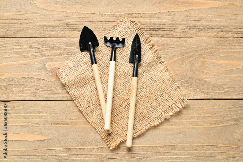 Gardening rake and shovels on wooden background