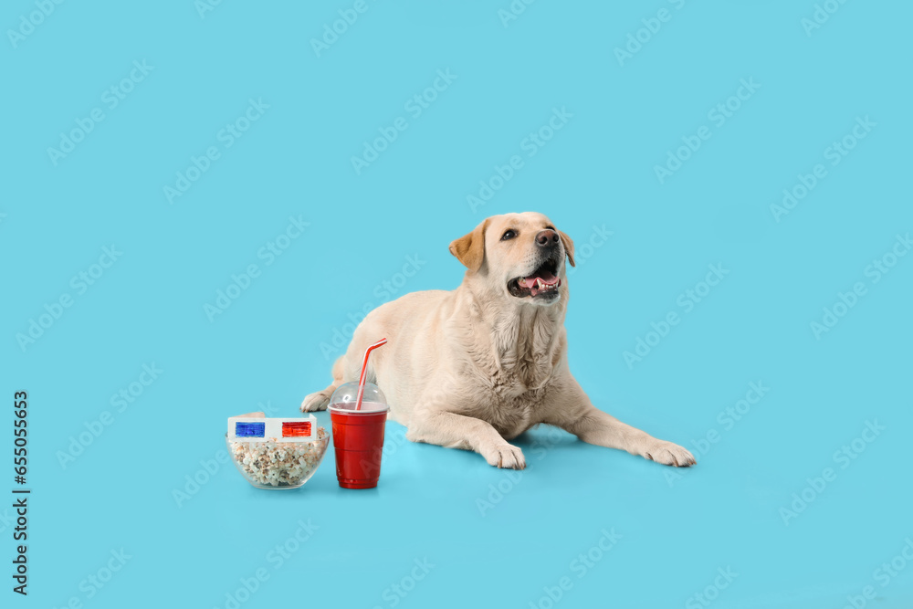 Cute Labrador dog with bowl of popcorn, soda and 3D cinema glasses lying on blue background