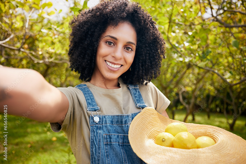 Woman in orchard, selfie and agriculture with lemon in portrait, healthy food and nutrition on citrus farm outdoor. Farmer, picking fruit and smile in picture, harvest organic product and memory