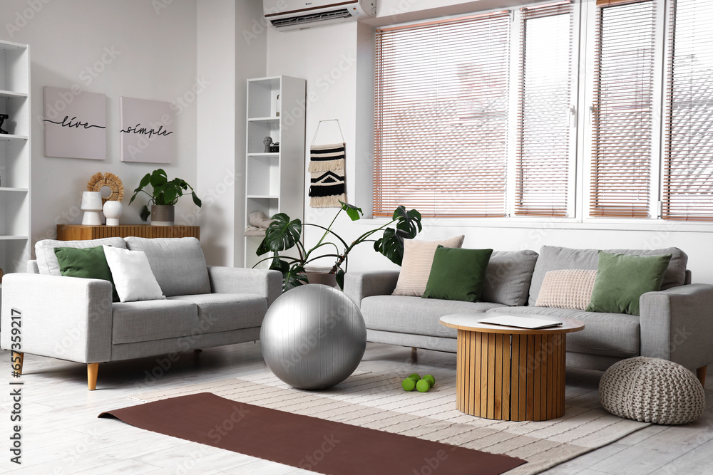 Interior of living room with sofas and fitball