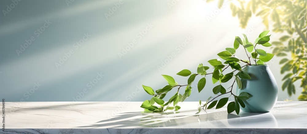 Green leaves casting shadows on a white marble wall wood table and room for text creating an elegant Mediterranean summer backdrop