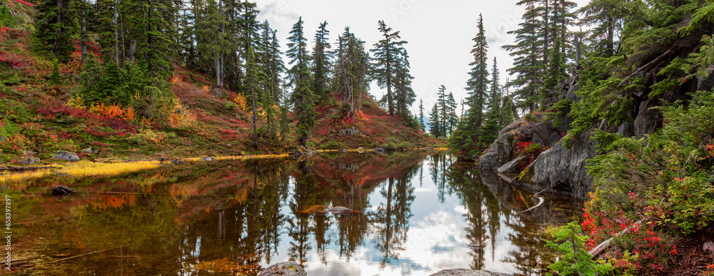 Lake on top of a Mountain with colorful wild flowers and trees in Fall Season.