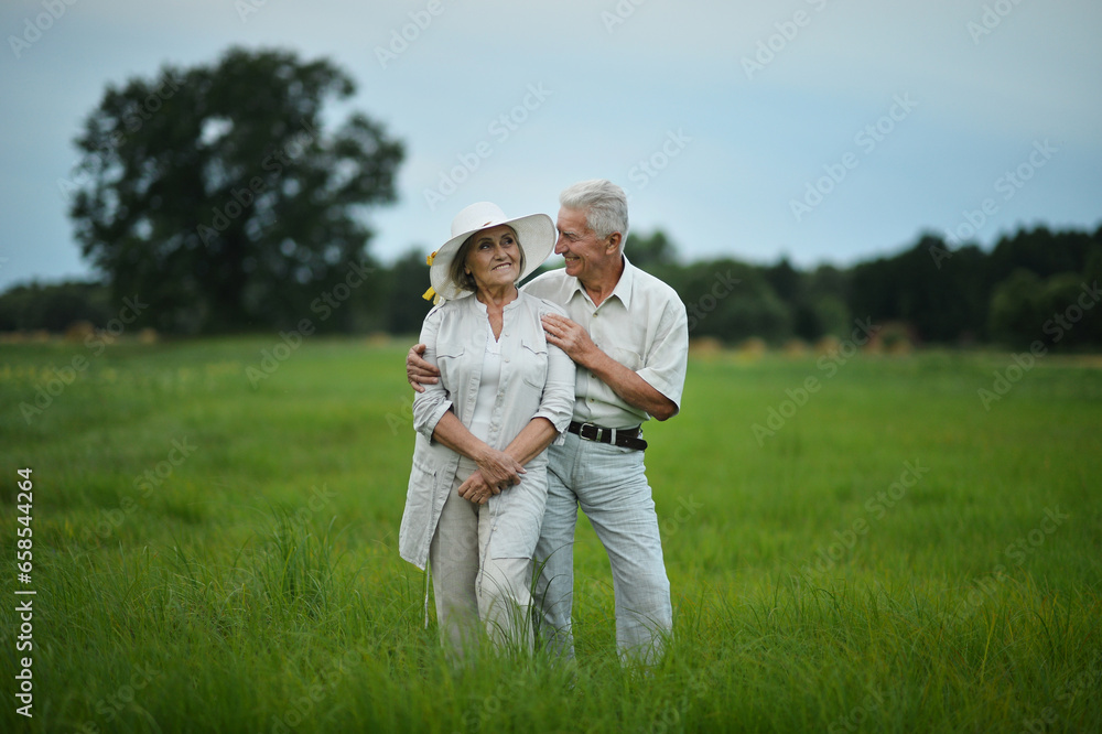 Portrait of beautiful senior couple hugging on a lilac background in the park