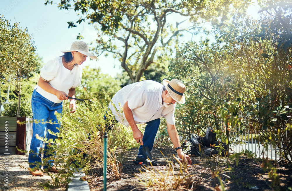 Couple, together and gardening in backyard with hat for protection from sun in summer. Asian people, man and woman with bond, love or relationship in nature, plants and tools for sustainability