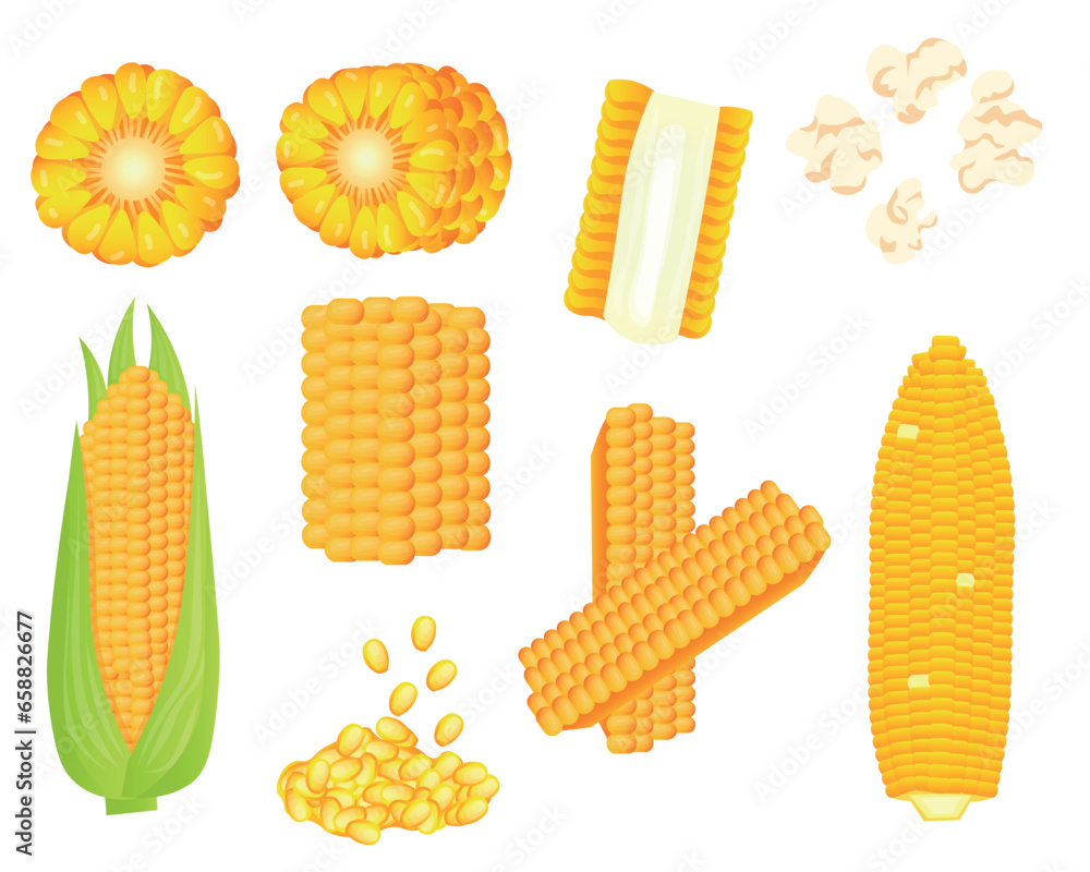 Set of tasty corn on white background