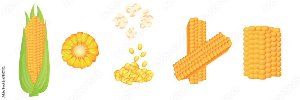 Set of tasty corn on white background