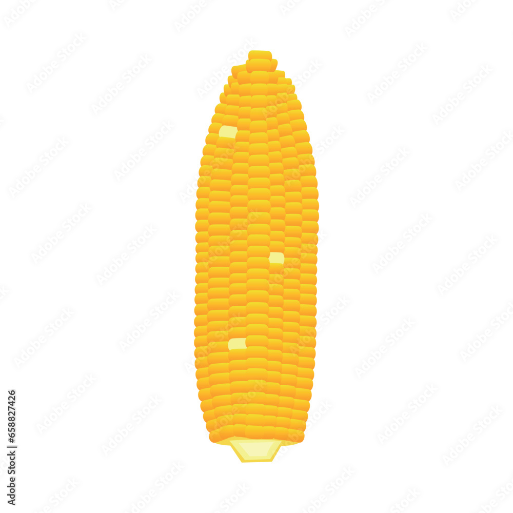 Corn cob on white background