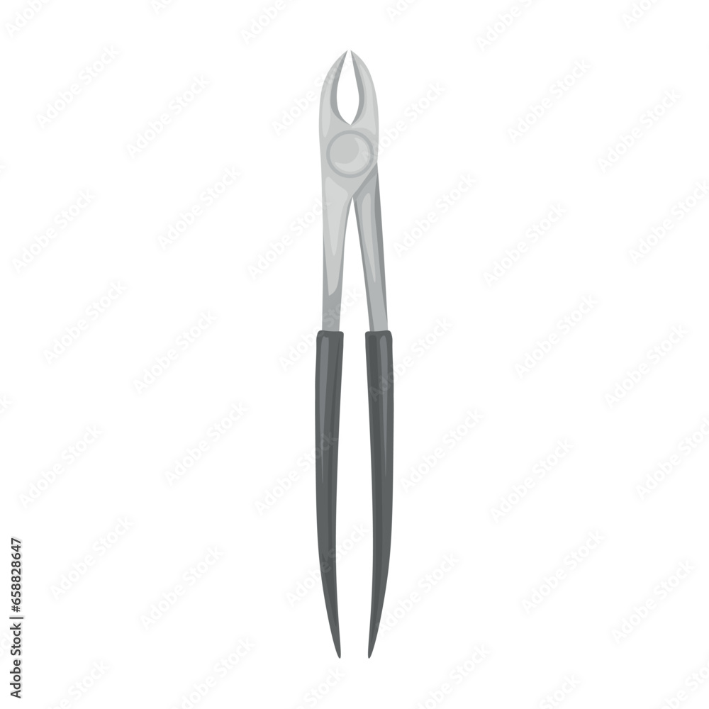 Dental forceps on white background