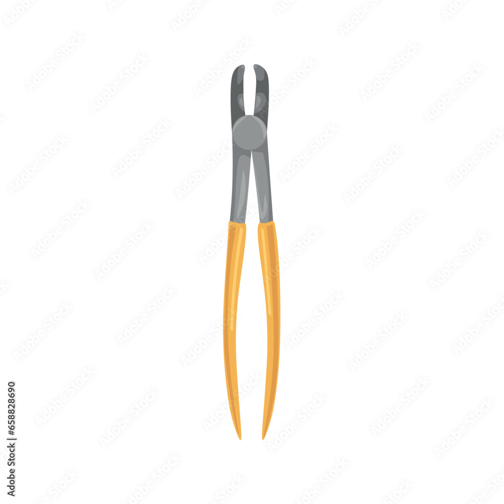 Dental forceps on white background