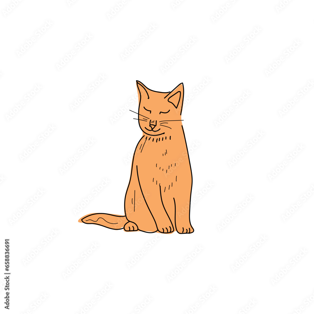 Cute red cat on white background