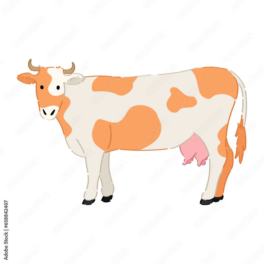 Spotted cow on white background