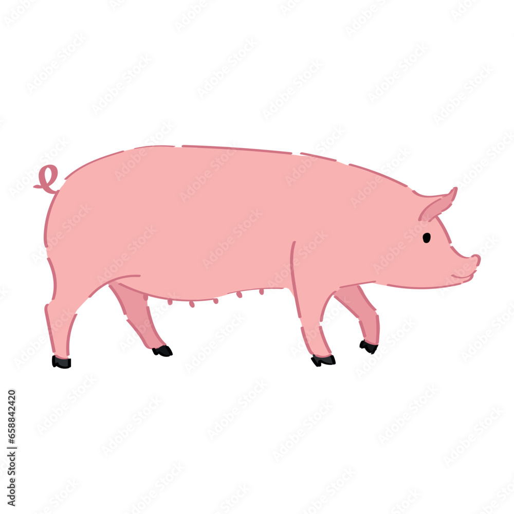 Funny pig on white background