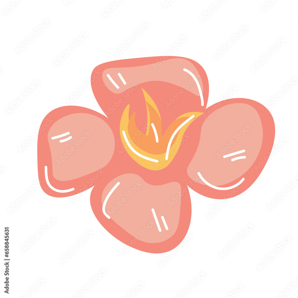 Beautiful pink flower on white background