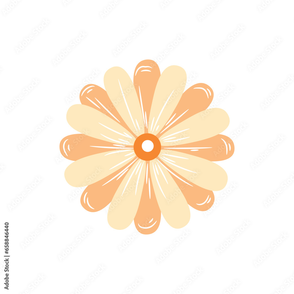 Orange flower on white background