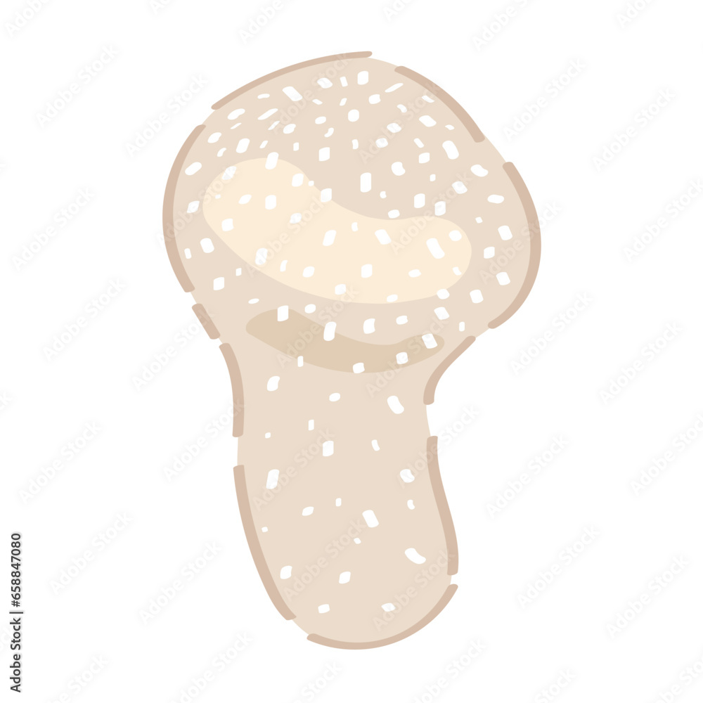 Lycoperdon perlatum on white background