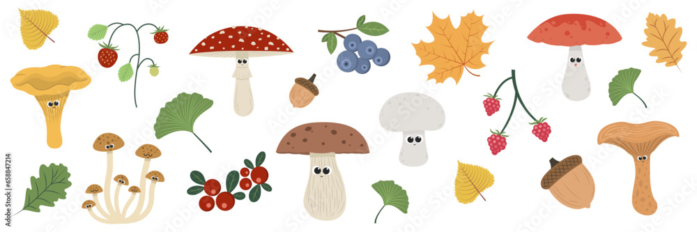 Set of cute mushrooms, autumn leaves and berries on white background