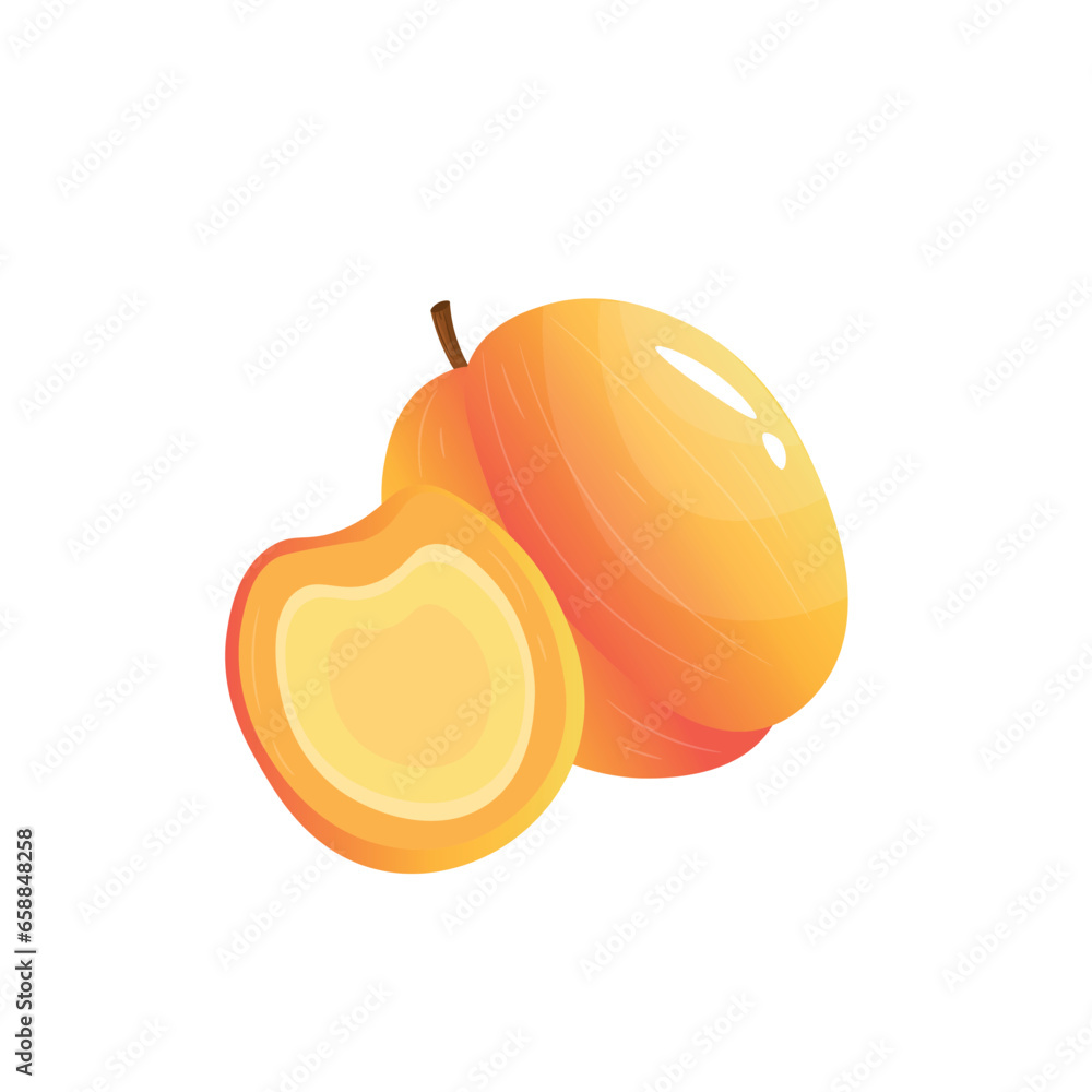 Sweet apricot on white background