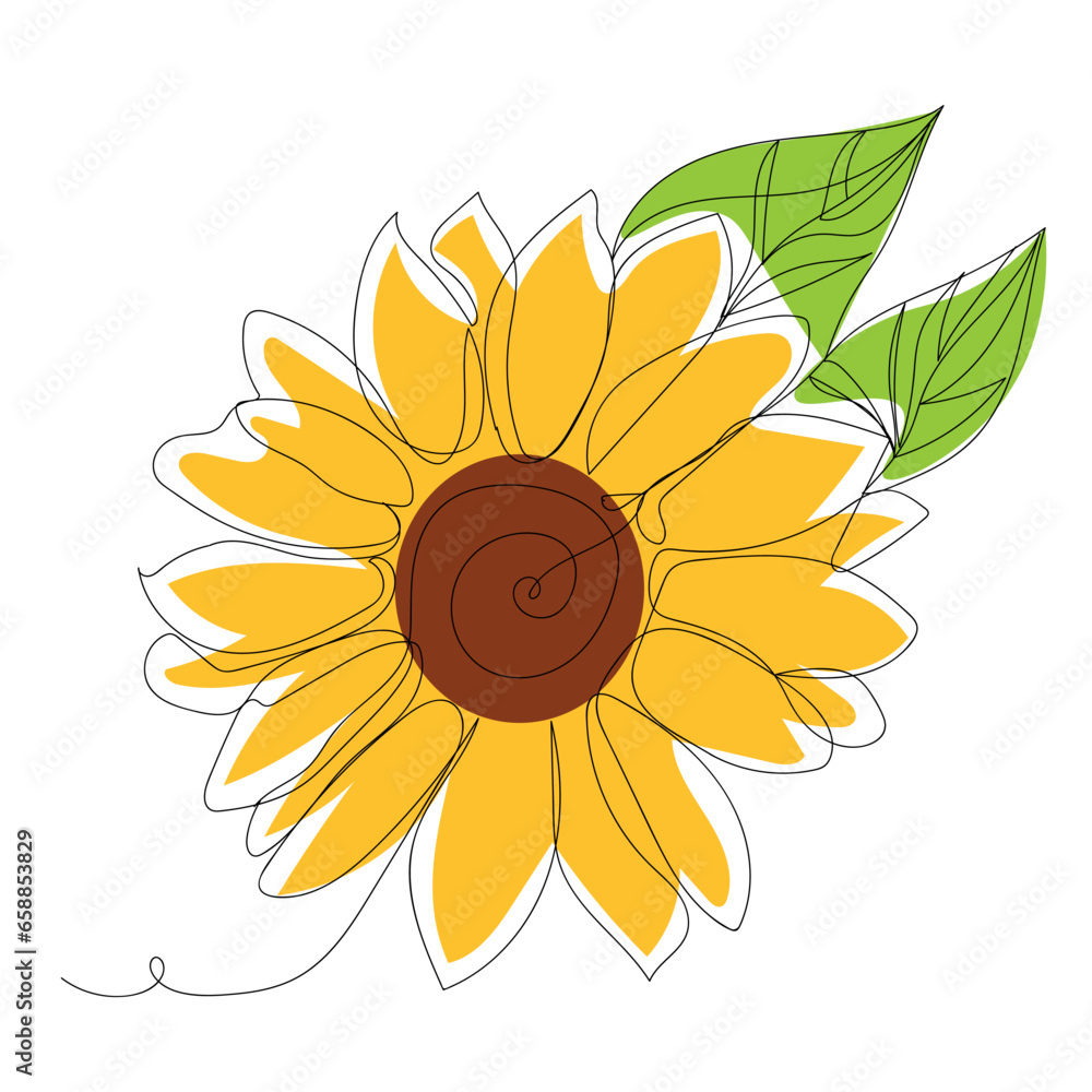 Beautiful sunflower on white background