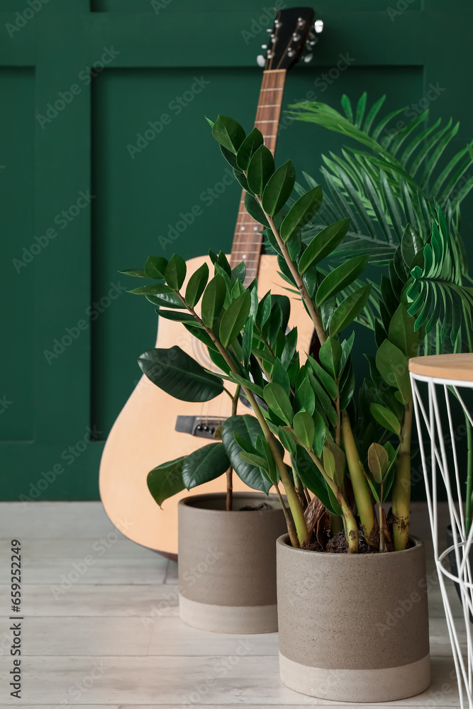 Green houseplant and guitar in living room